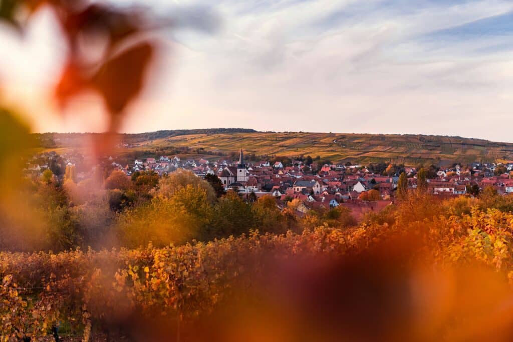 Hotel la cour du tonnelier - Bouxwiller-vacances-en-alsace